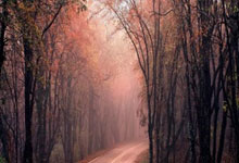 问鼎娱乐:2020年11月以来西蒙国家队点球大战7次扑点,同期仅少于大马丁.